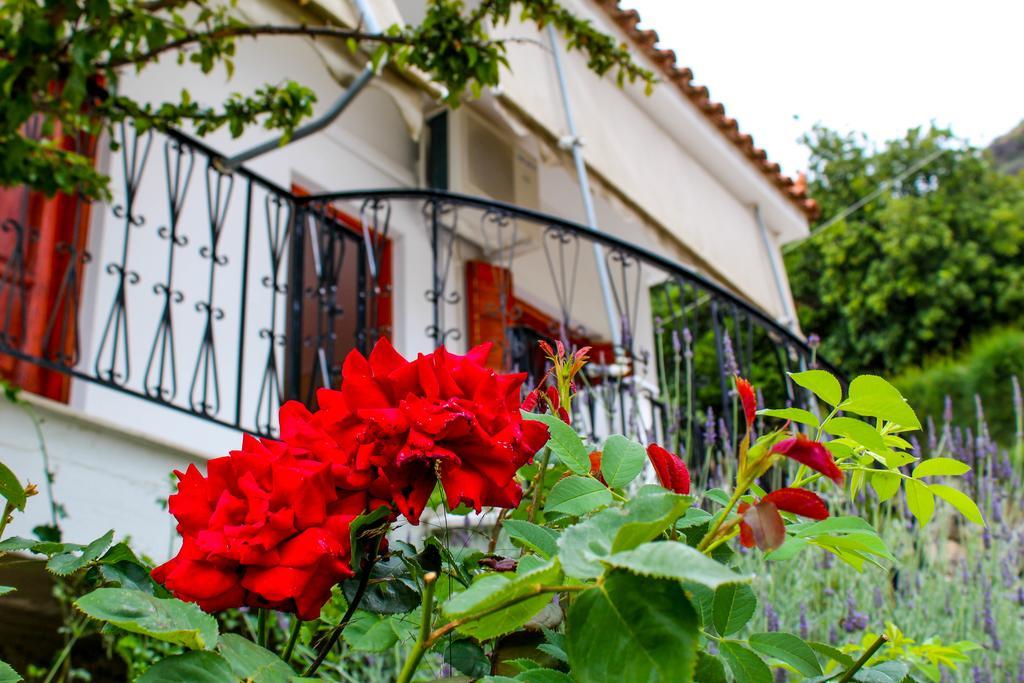 Guesthouse Lykourgos Mavrommátion 외부 사진