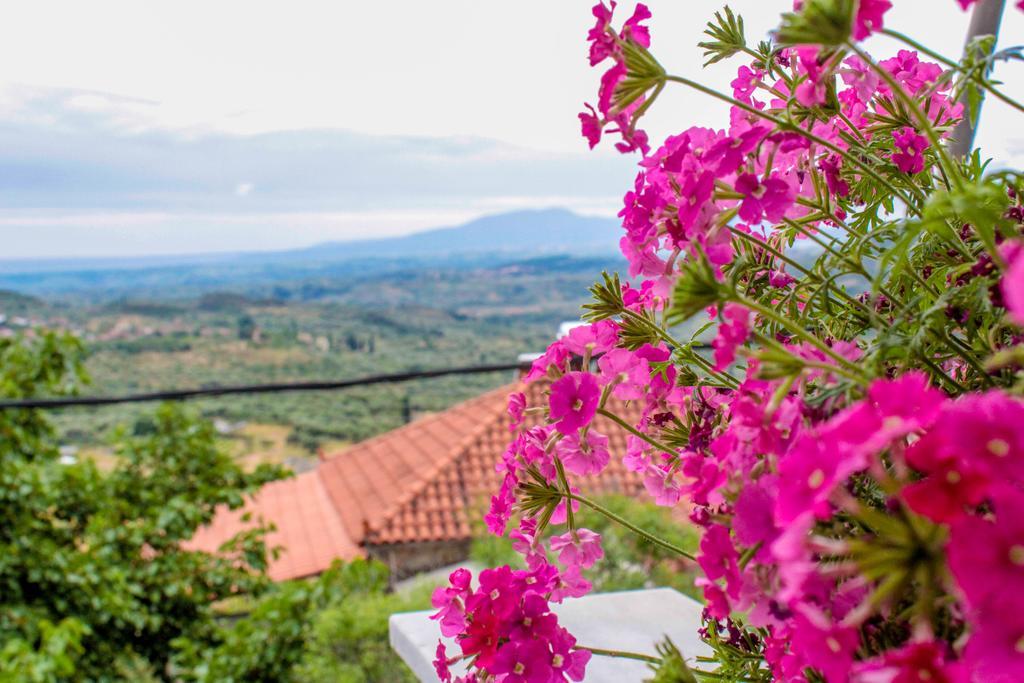 Guesthouse Lykourgos Mavrommátion 외부 사진